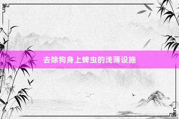 去除狗身上蜱虫的浅薄设施