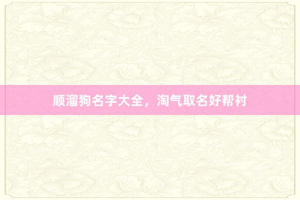 顺溜狗名字大全，淘气取名好帮衬